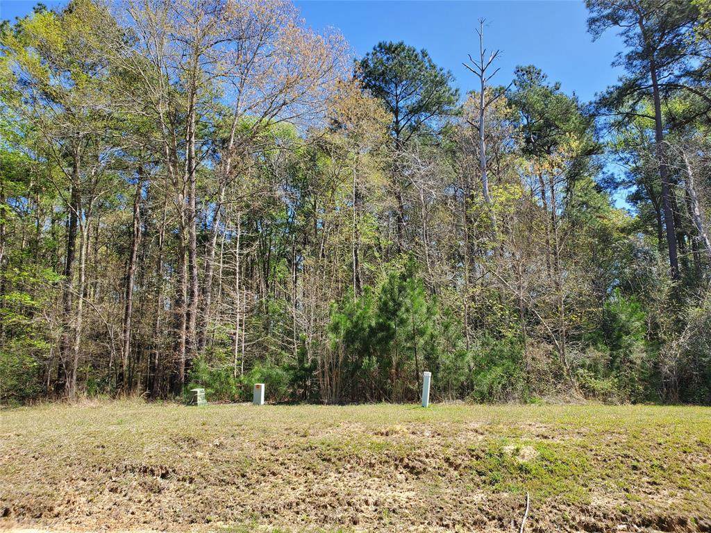 28506 Tallow Rock Lane - Photo 1
