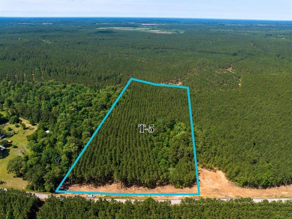 5 Camp Ruby Road - Photo 1