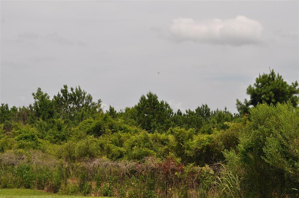 TBD Farm Road 3126 - Photo 1