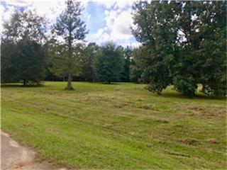 23985 Spring Branch Point - Photo 1