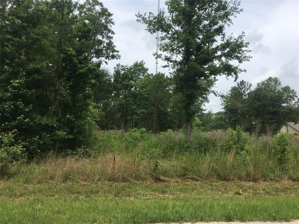 0 County Road 3668 - Photo 1