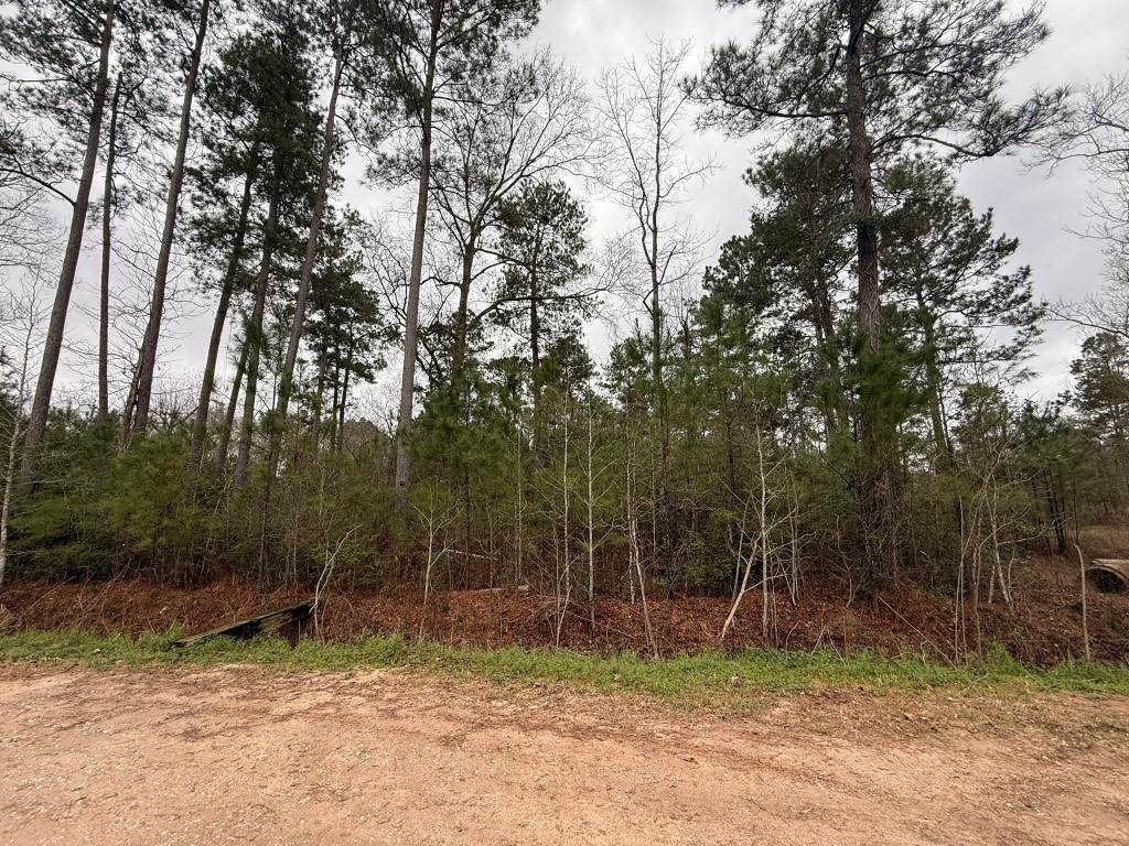 0 Shaffer Road - Photo 1