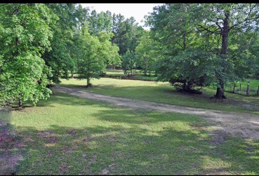 7906 Hodge Lane - Photo 1