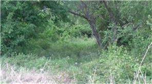 000 Josey Lane - Photo 1