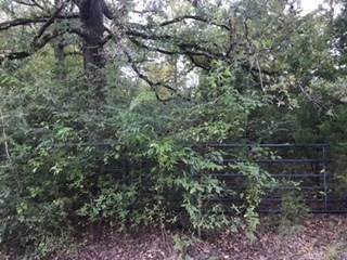 0 Quiram Lane - Photo 1