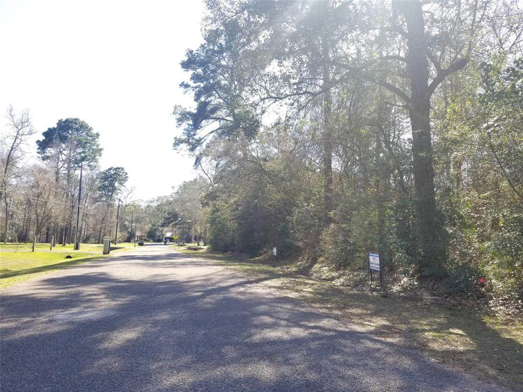 Lot 4 Paradise View Drive - Photo 1