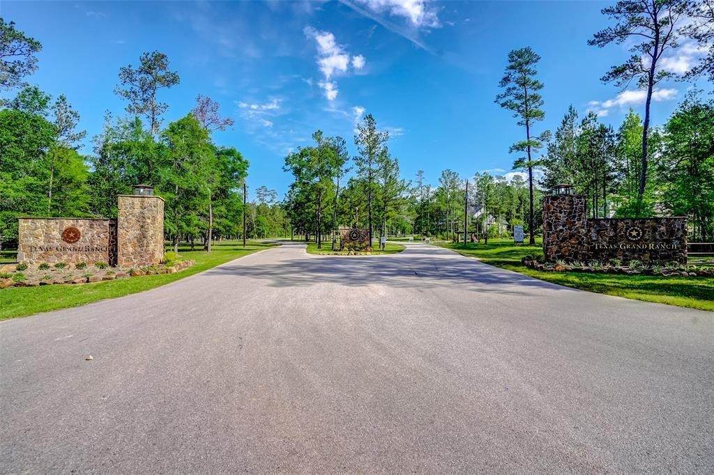 TBD Texas Grand Road - Photo 1