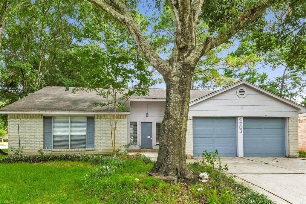 4703 Lost Lake Lane - Photo 1