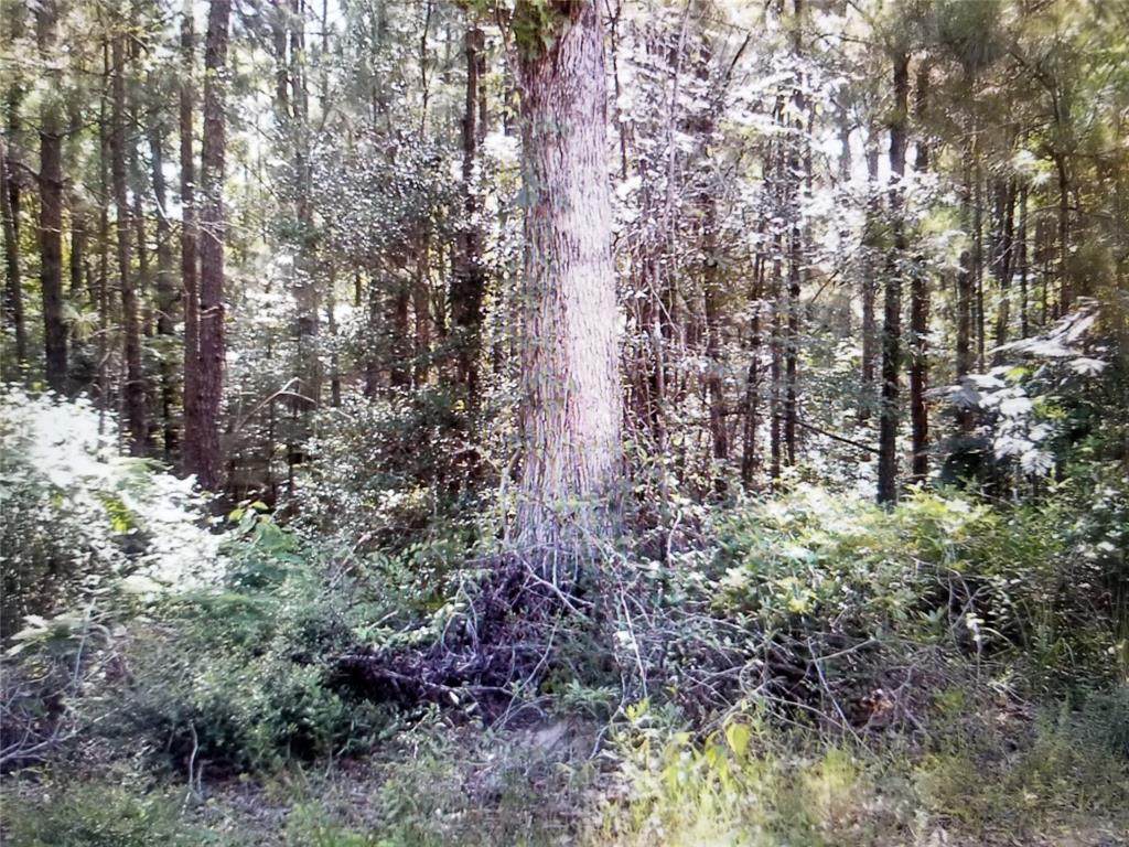 0 Fm 692 - Photo 1