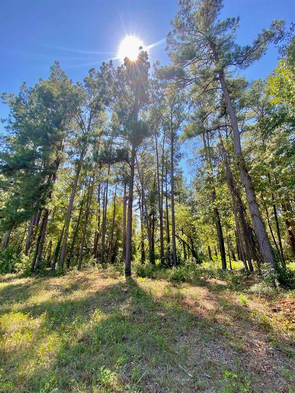 797 Horseshoe Drive - Photo 1