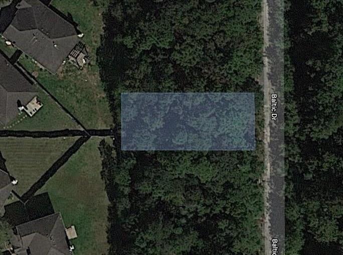 000 Baltic Drive - Photo 1