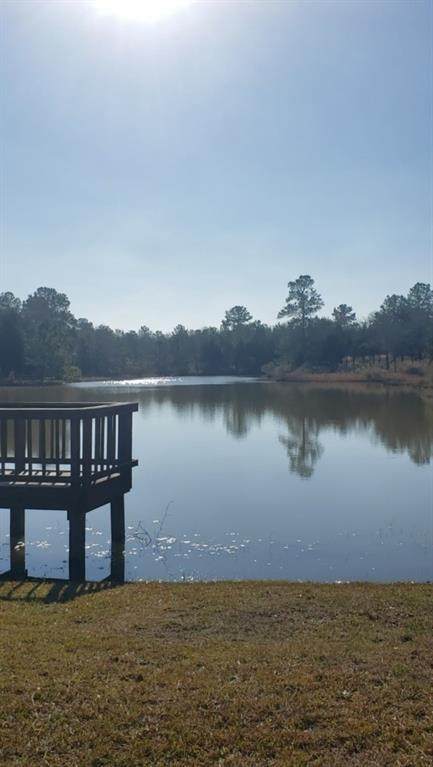 26675 Falcon Lane - Photo 1