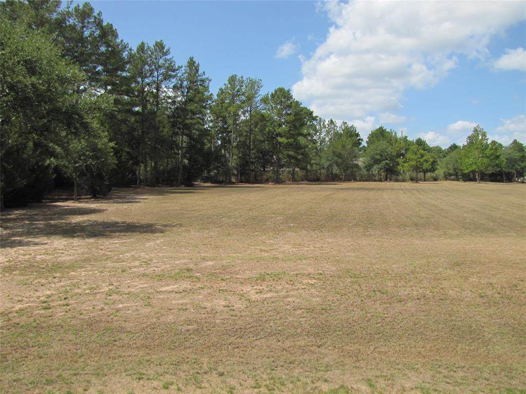 29213 Village Oaks Court - Photo 1