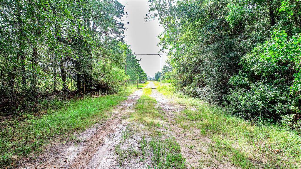 TBD Bob Williams Road - Photo 1