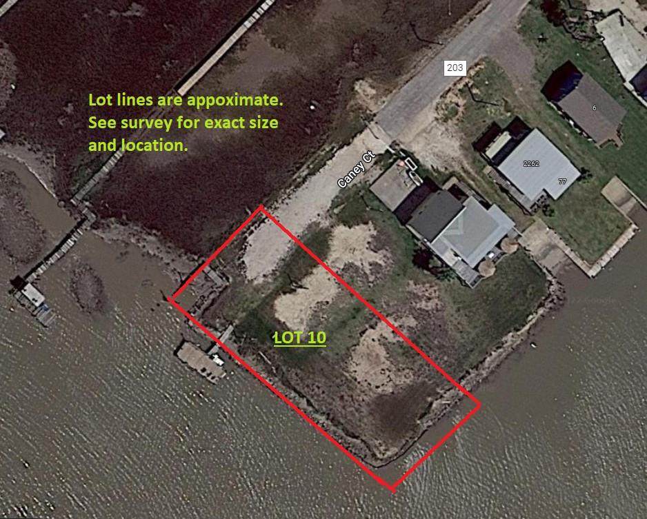 00 Tbd Cr 203 Caney Ct - Photo 1