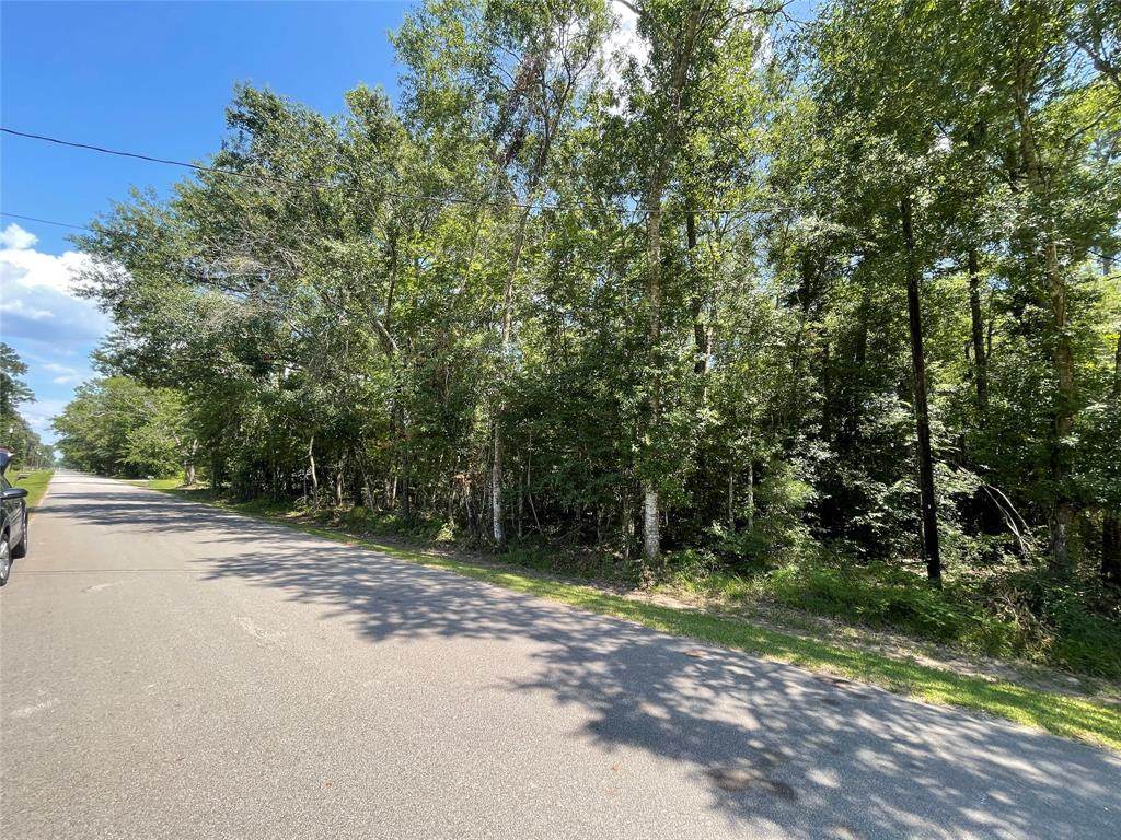 0 County Road 308 - Photo 1