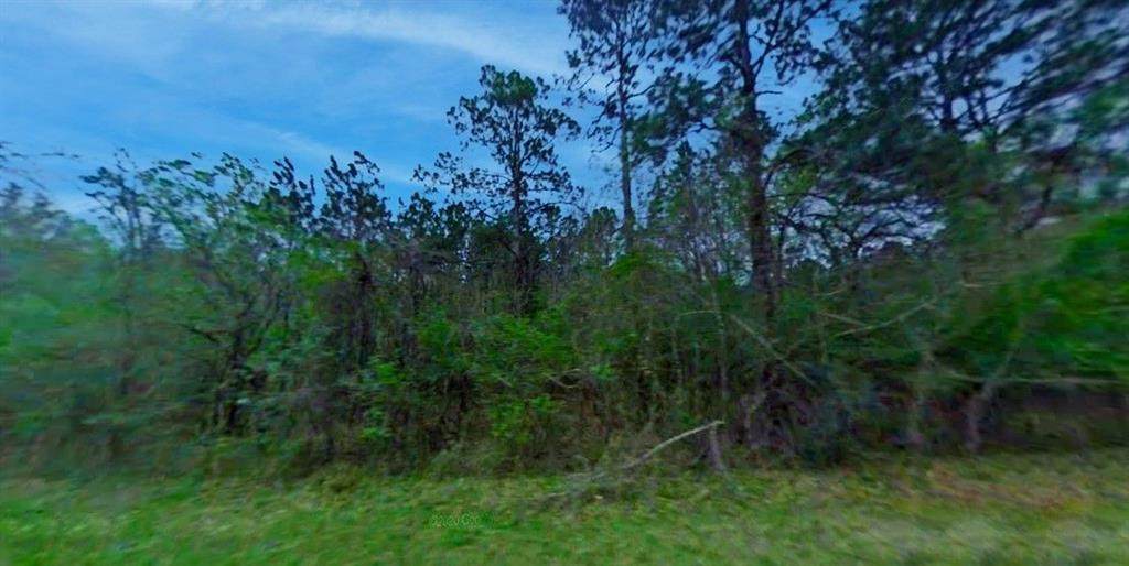 Lot 14A Hill Creek - Photo 1