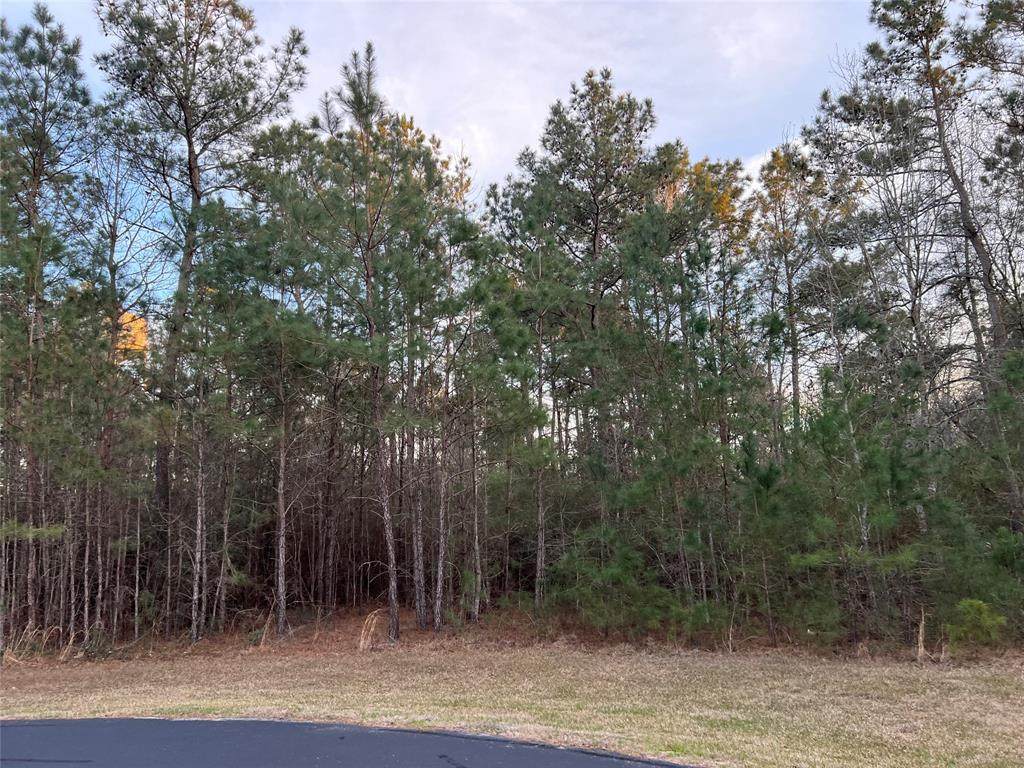 29001 Colin Court - Photo 1