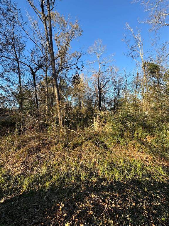 307 Magnolia Bend Drive - Photo 1
