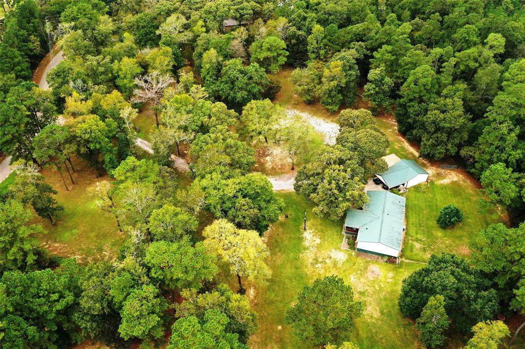 15702 Honea Road - Photo 1