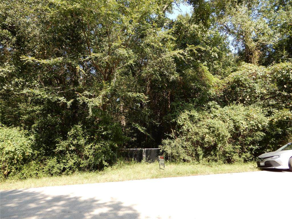 24603 Wilderness - Photo 1