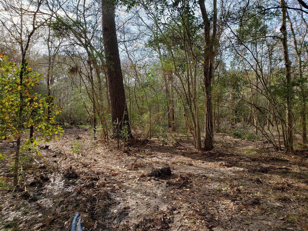 Lot 16 & 17 Treasure Drive - Photo 1