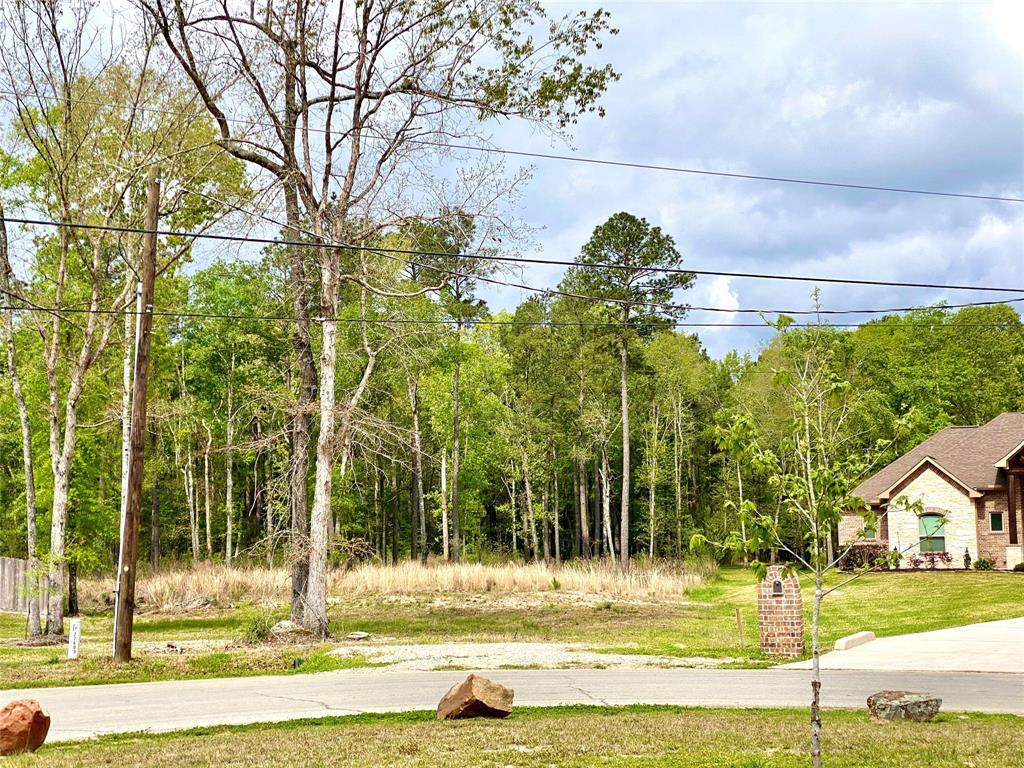 27603 Salado Court - Photo 1