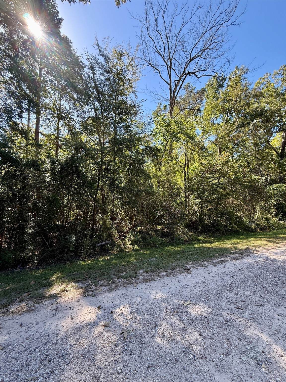 N/a Lot 5 Golden Leaf - Photo 1