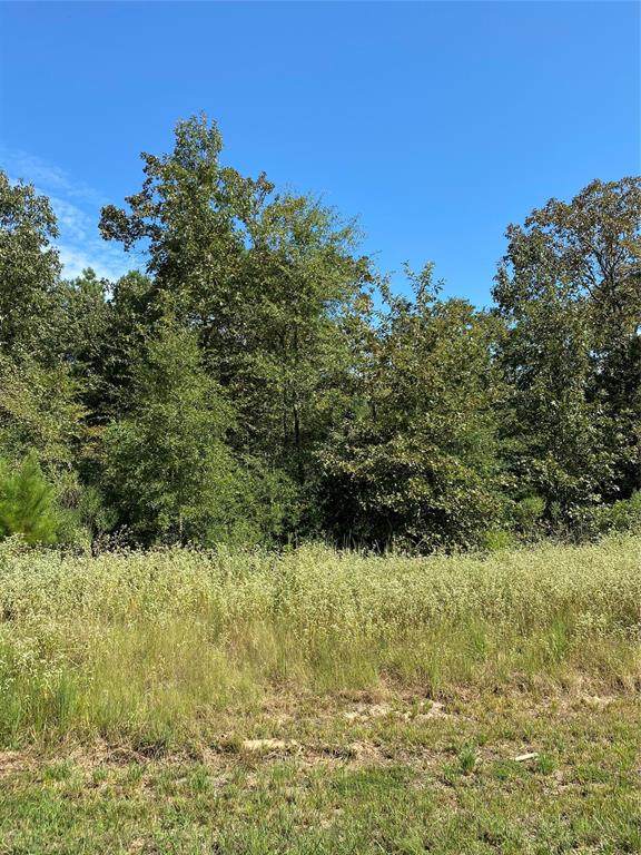 0 Hidden Cove Road - Photo 1