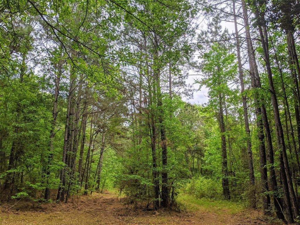 TBD Cr 2675 - Photo 1 TBD Cr 2675 - Photo 1