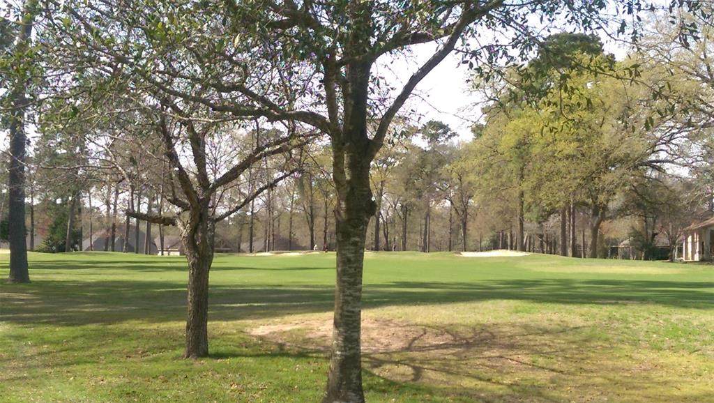 13422 Hilton Head - Photo 1