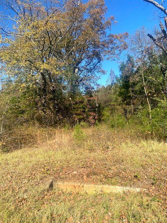 0 Fm 449 Lot 441 - Photo 1