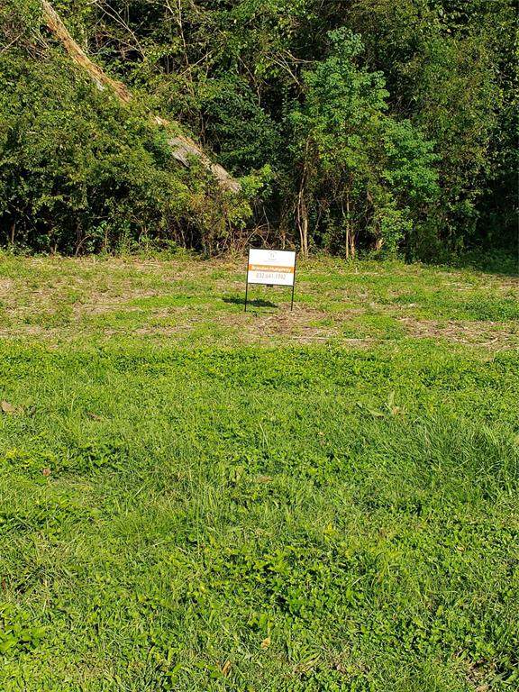 0 Golden Forest Dr Drive - Photo 1