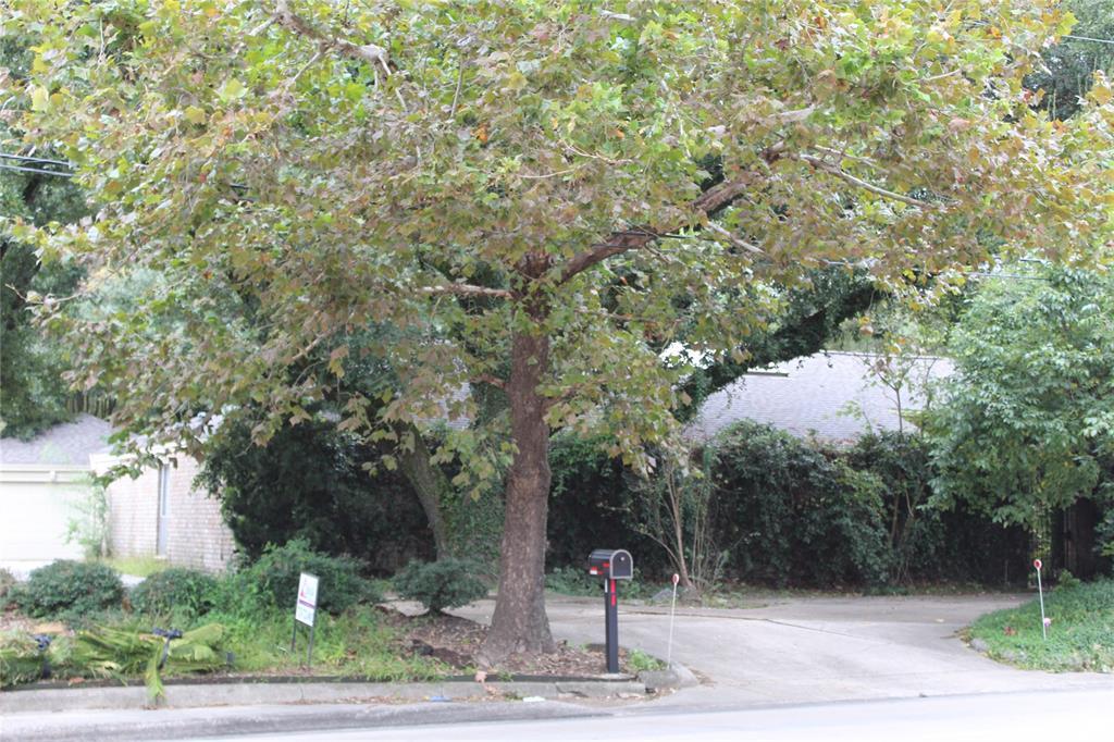 1155 Bingle Road - Photo 1