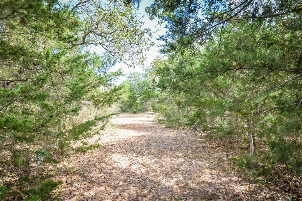 0000 Old Waelder Road - Photo 1