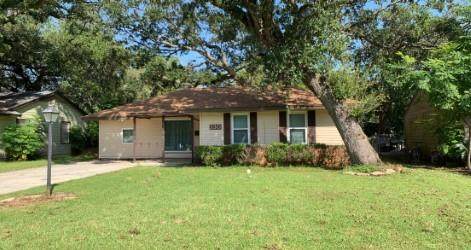 330 Caladium Street - Photo 1