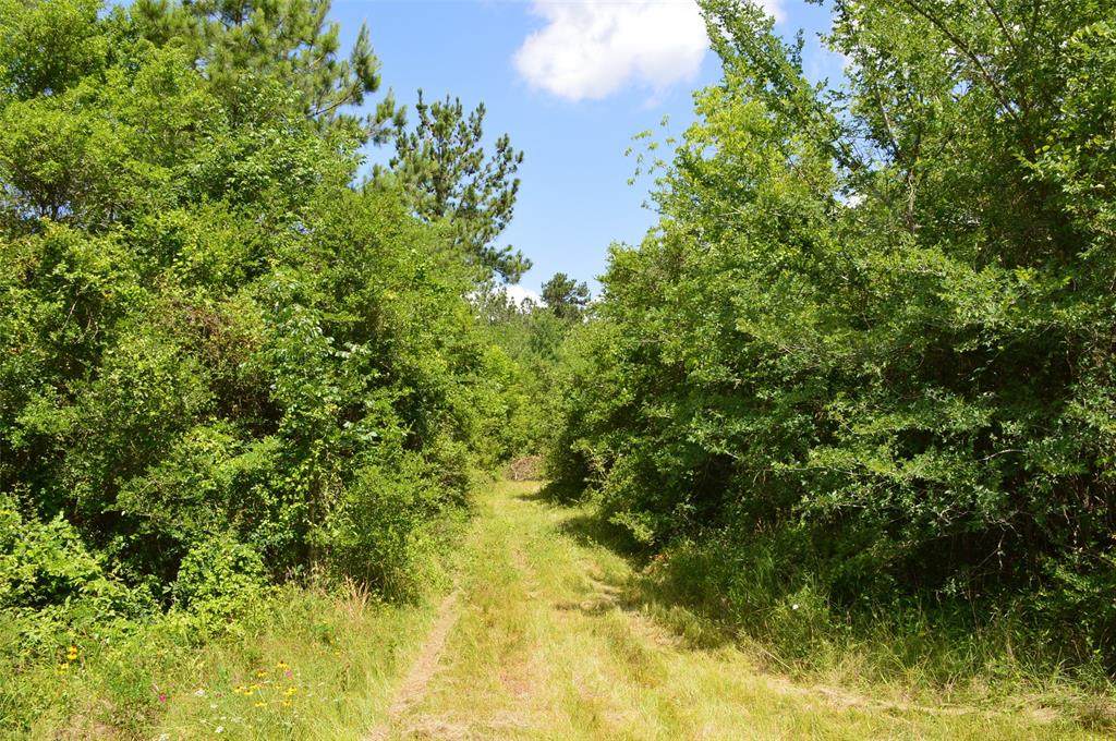 8770 County Road 233 - Photo 1