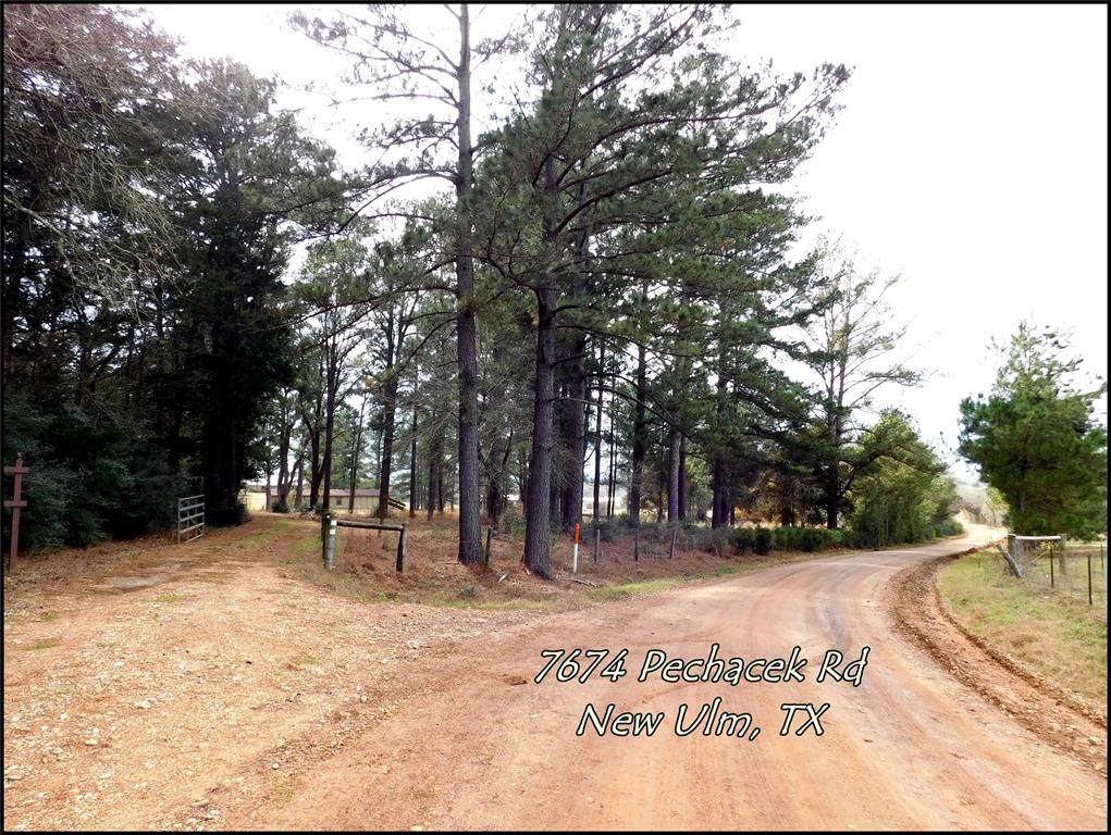 7674 Pechacek Road - Photo 1