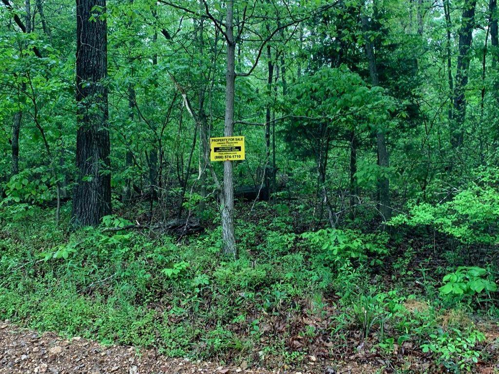 Lot 26 Hitching Post Drive - Photo 1
