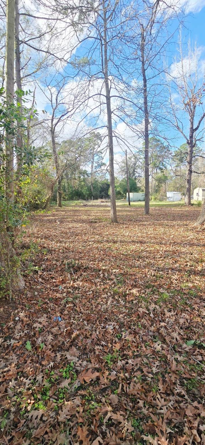 20668 Pin Oak Road - Photo 1