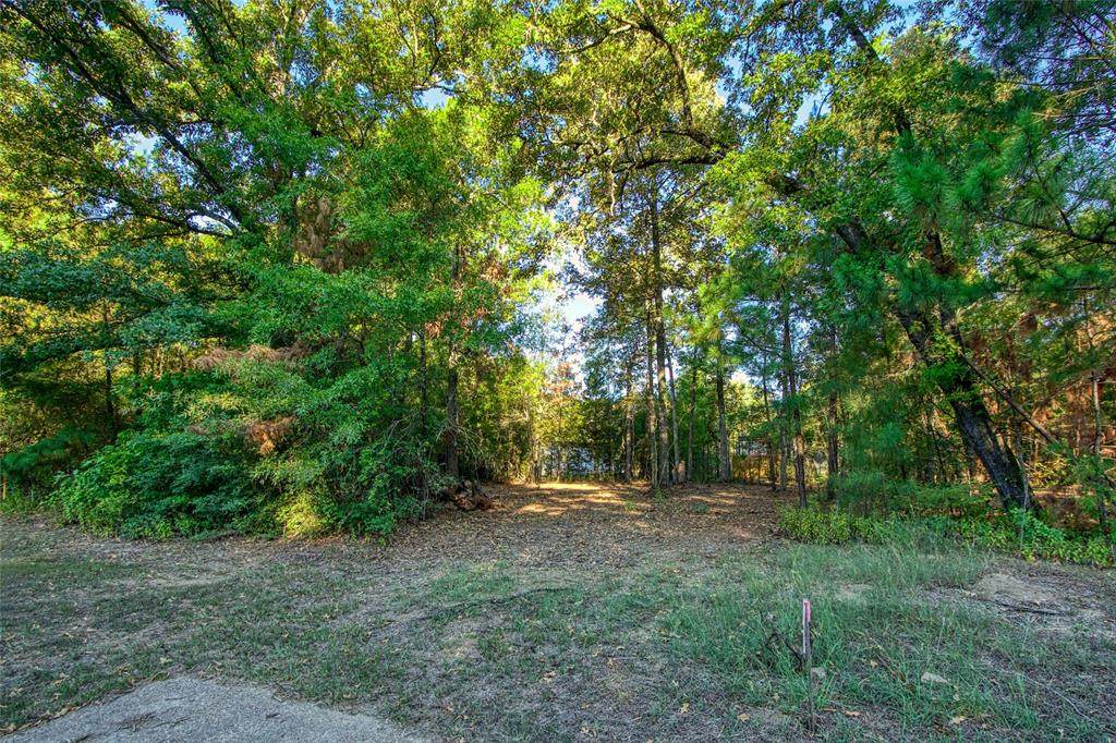 TBD Lot 104 Windwood Drive - Photo 1