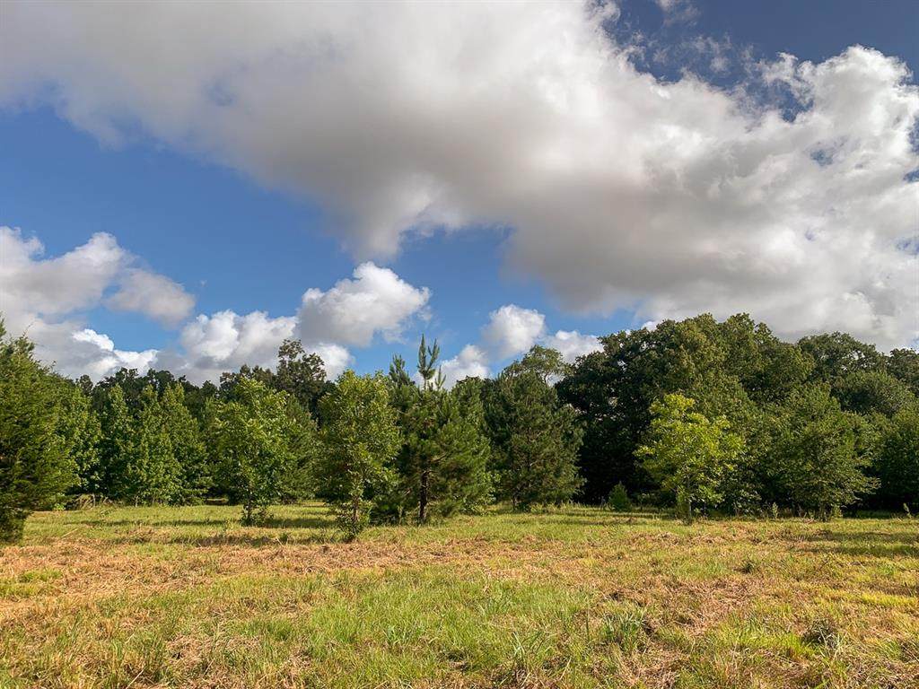 977 Tafelski Road - Photo 1