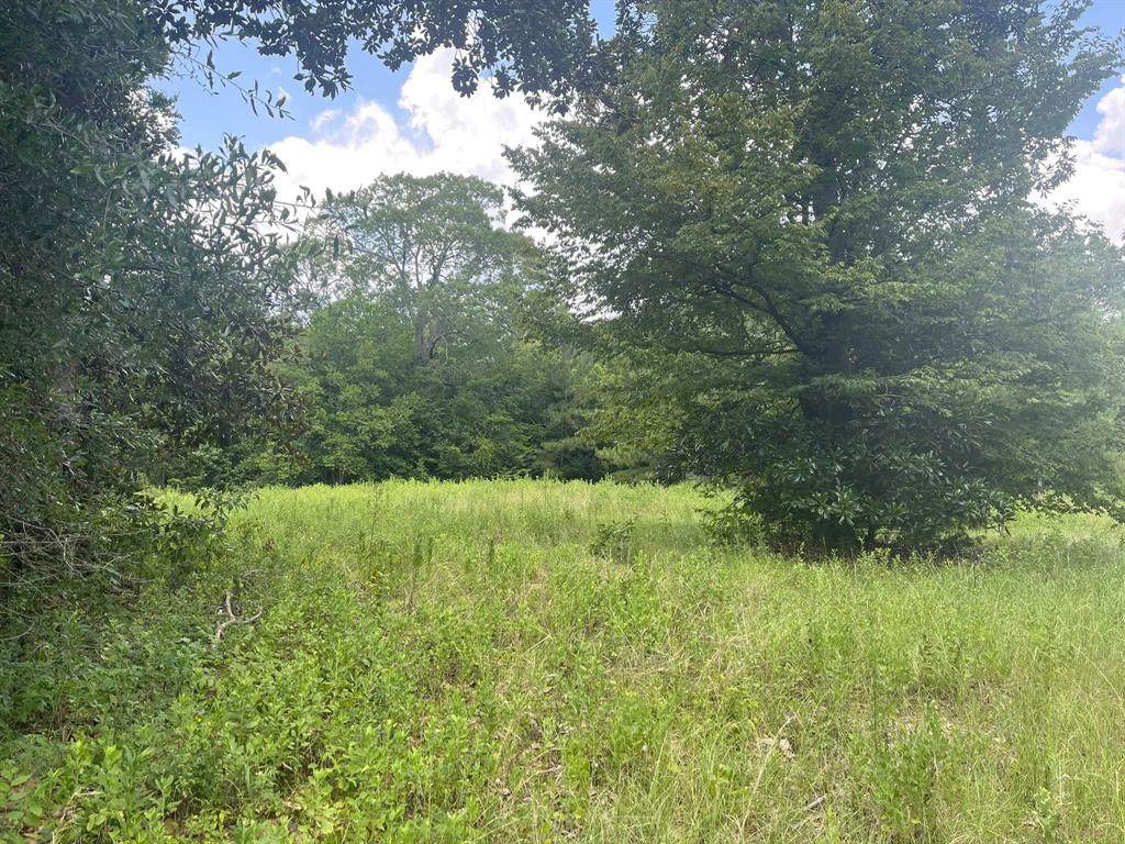 117 Pr 7512 - Photo 1