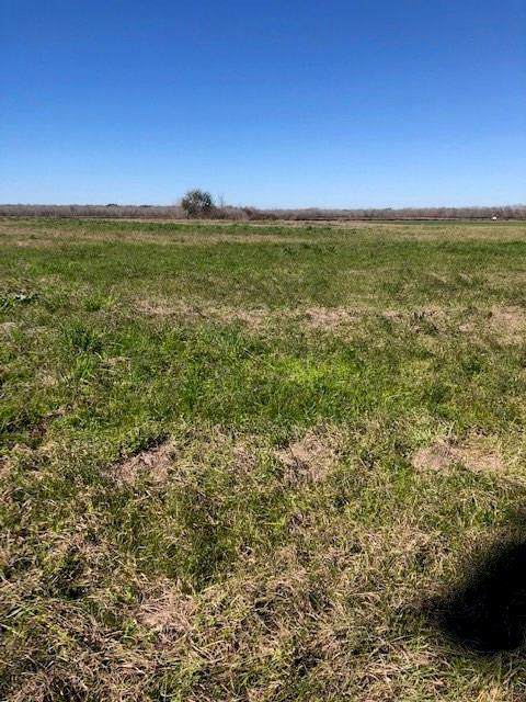 0 Fm 521 And County Road 30 - Photo 1