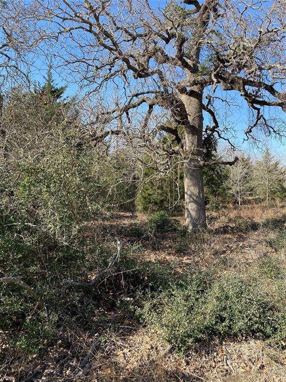000 Creek Side Circle - Photo 1
