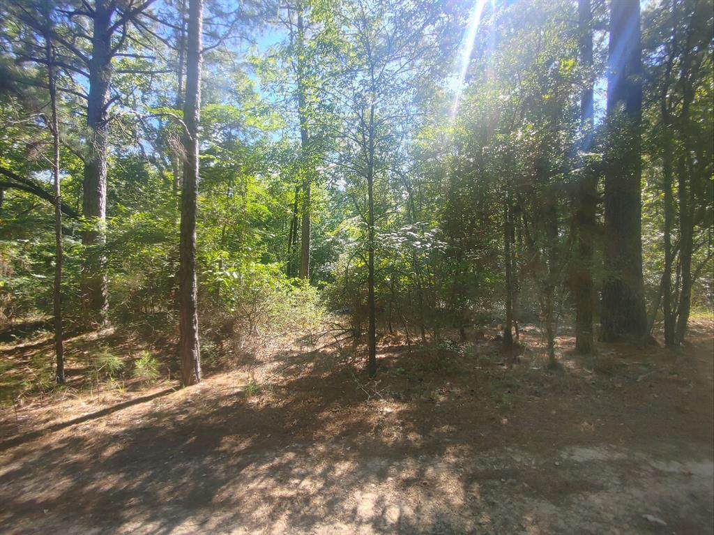 Lot 28 Russell Street - Photo 1