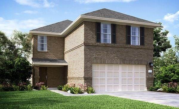 26011 Amber Pearl Drive - Photo 1