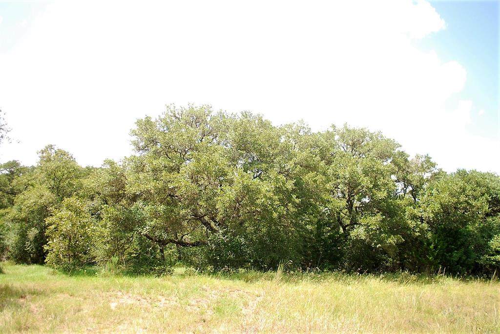 TBD (TR 2) Cr 255 North And Fawn Ridge - Photo 1
