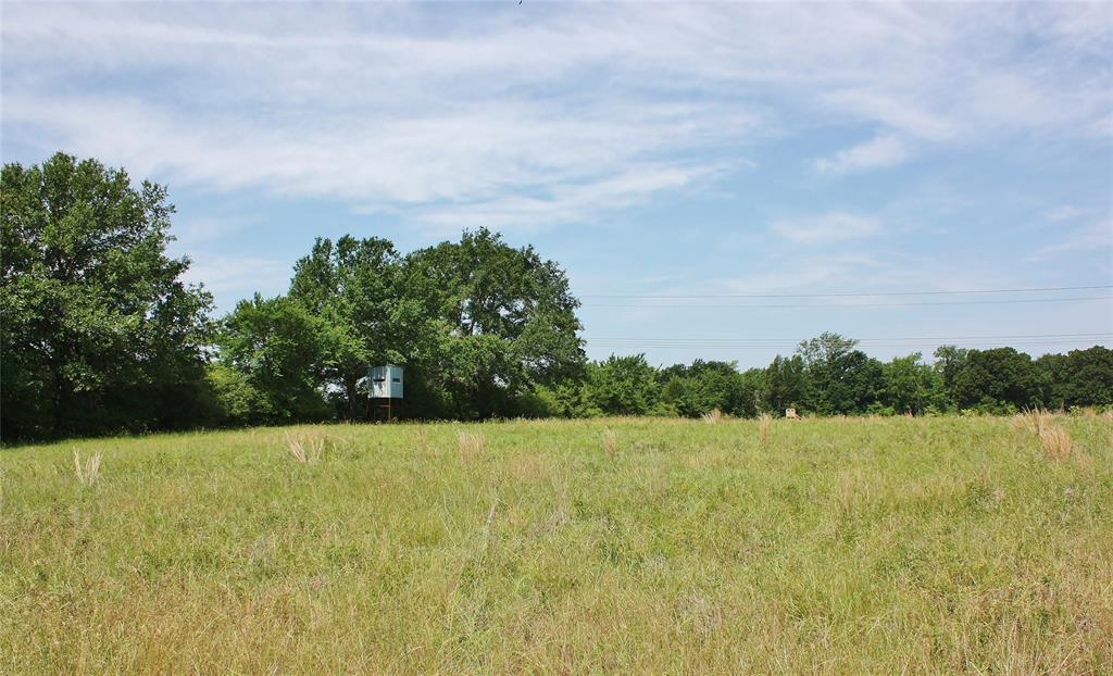 42.788 ac Cr 373 - Photo 1
