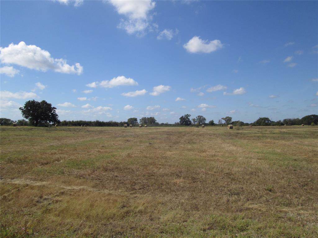 193 Fm 1146 - Photo 1